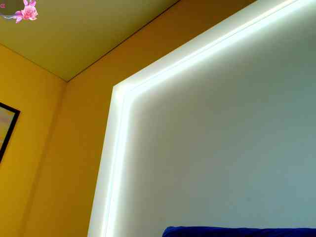 Julia-Robertson webcam