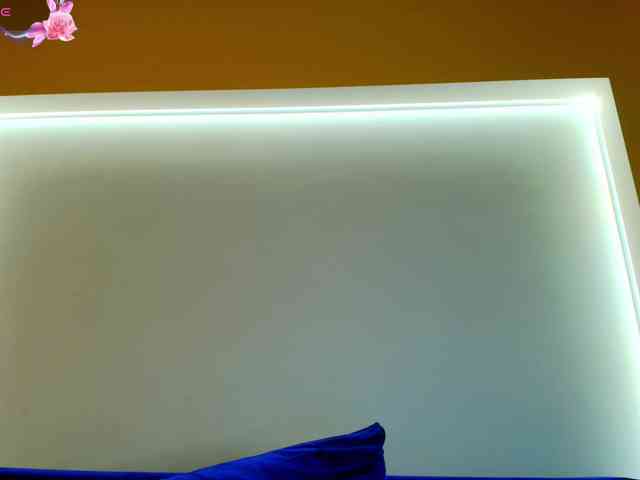 Julia-Robertson webcam