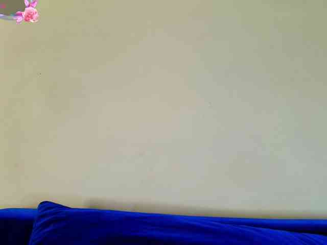 Julia-Robertson webcam