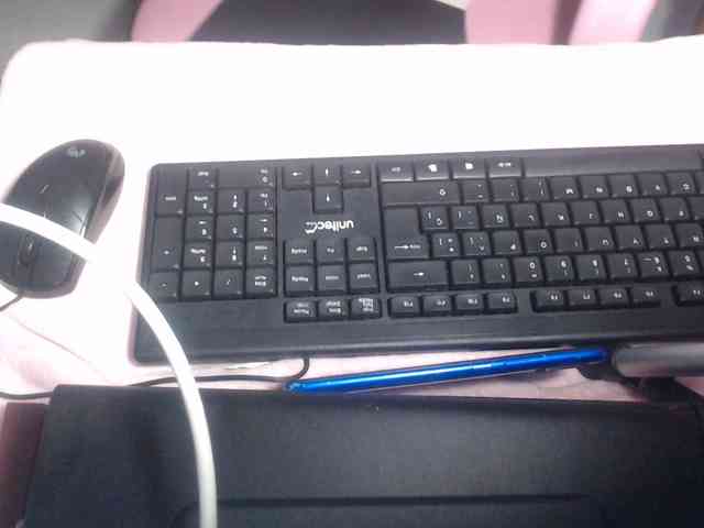 steeny77 webcam