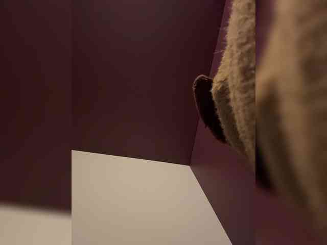 Smarties6300 Live Webcam on BongaCams
