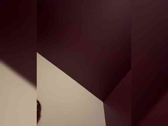 Smarties6300 webcam