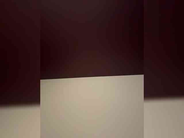 Smarties6300 webcam