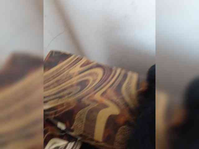 Modelo: Raketero
