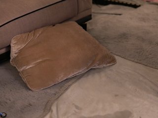 lexira1n