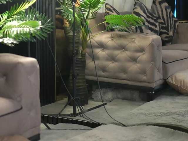 go to chat with lexira1n