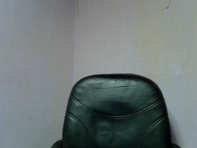 Oceane1 live cam on BongaCams