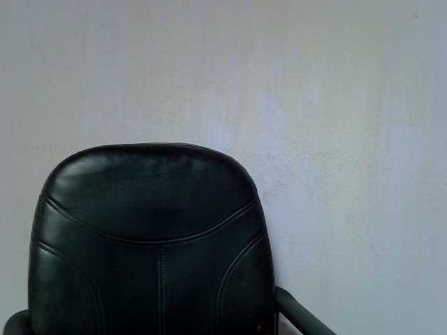 Oceane1 live cam on BongaCams
