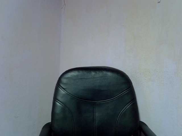 Oceane1 live cam on BongaCams