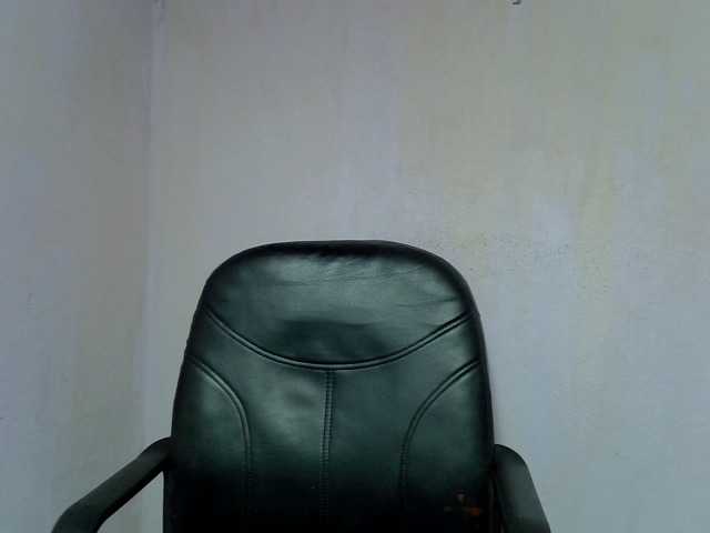 Oceane1 live cam on BongaCams