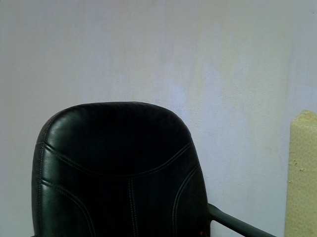 Oceane1 live cam on BongaCams