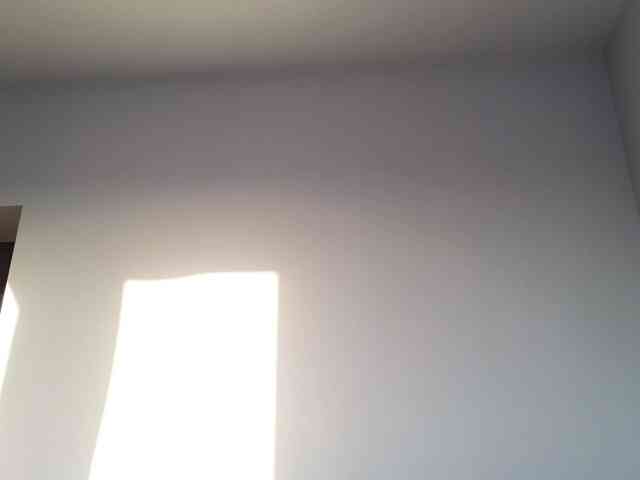 JannetFox webcam