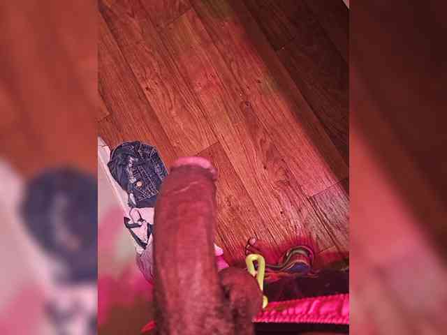 Calliopebigdog3