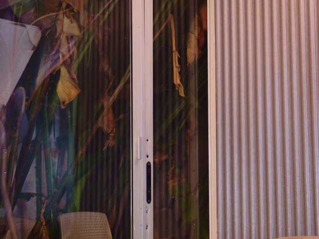 evediamondcr live cam on BongaCams