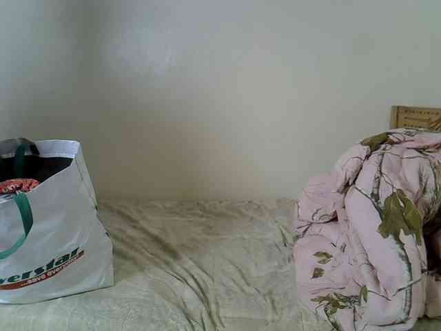 Misk webcam