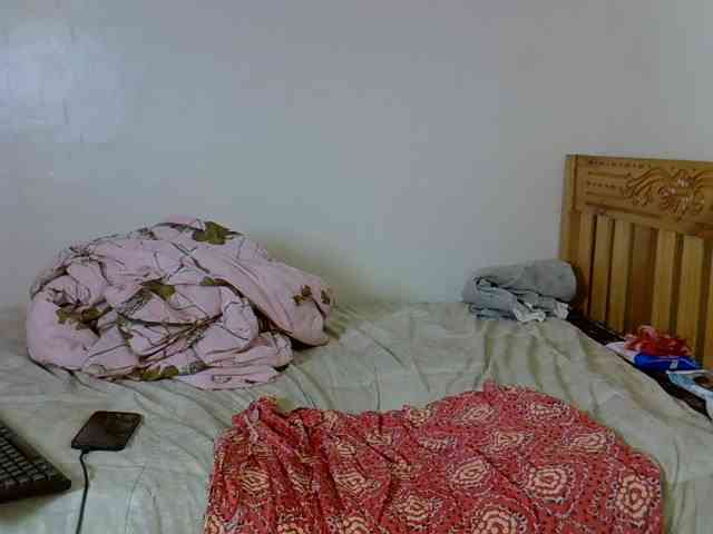 Misk webcam