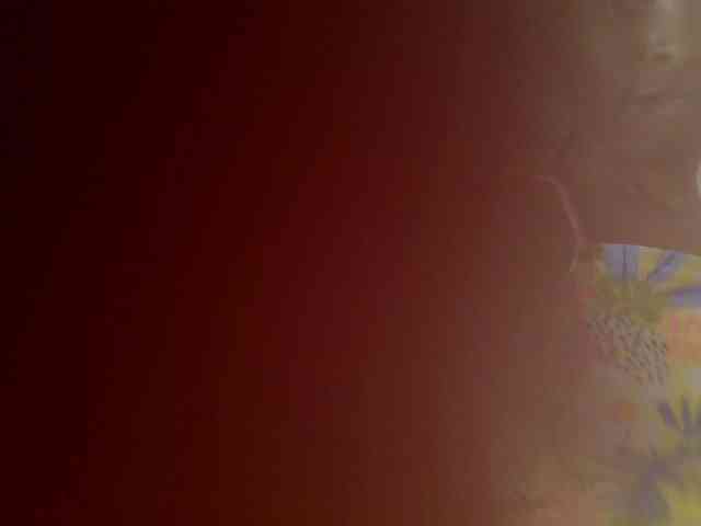 Misk webcam