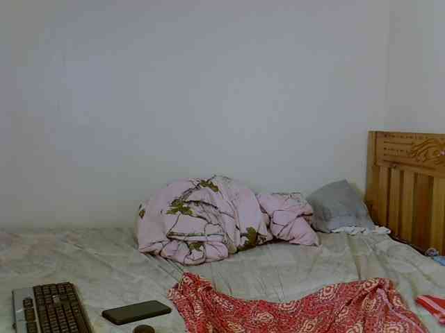 Misk webcam