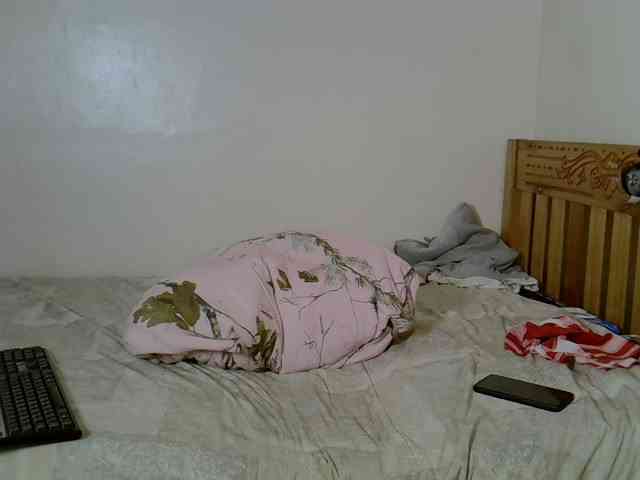 Misk webcam