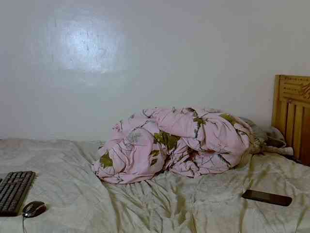 Misk webcam
