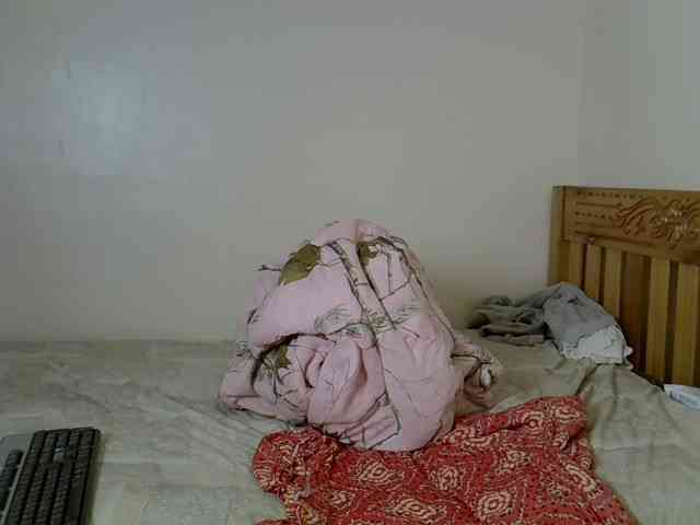 Misk webcam