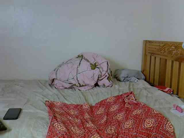 Misk webcam
