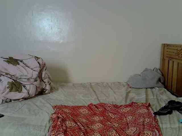 Misk webcam