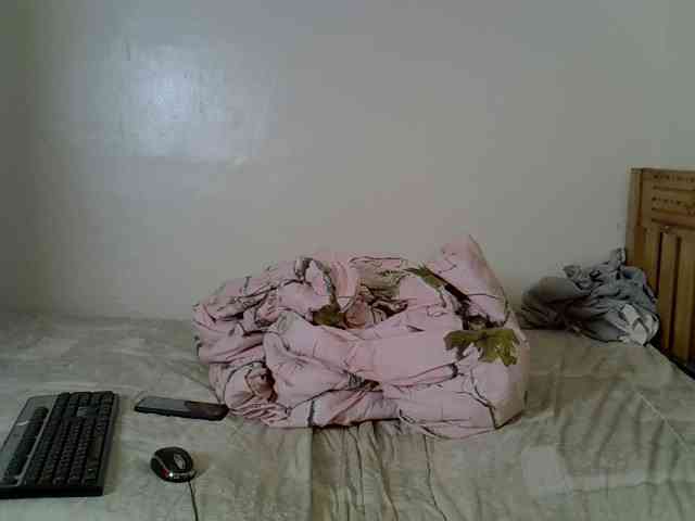 Misk webcam