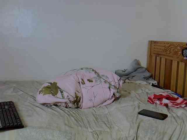 Misk webcam