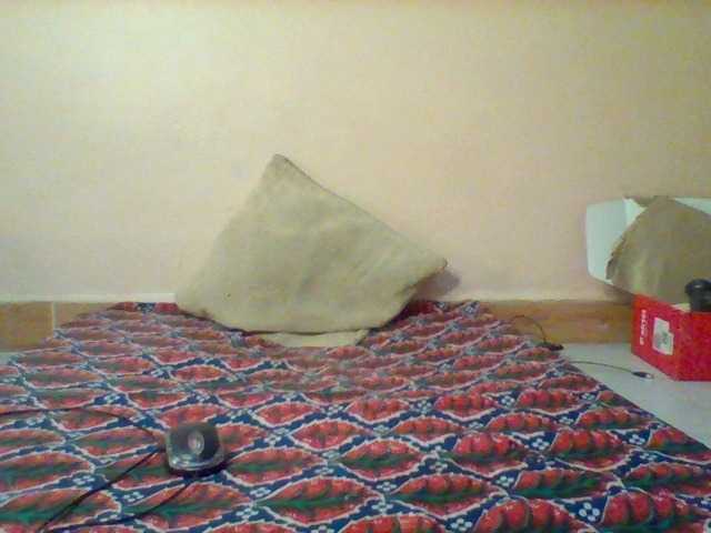Violeti