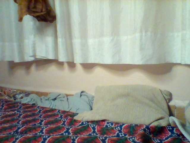 Violeti
