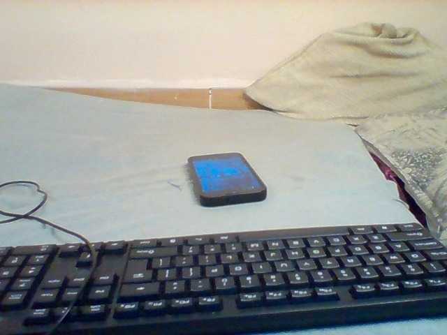 Violeti