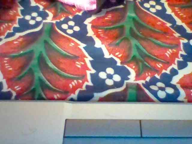 Violeti webcam