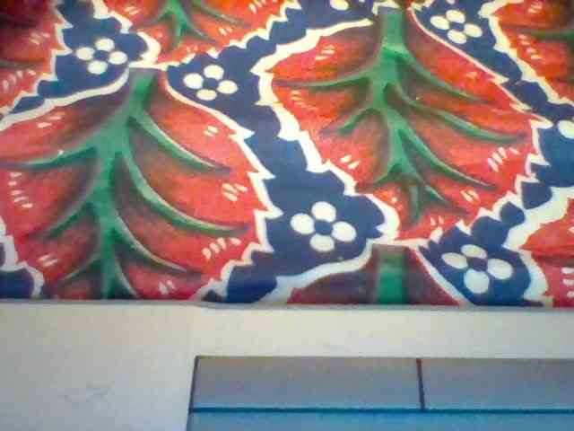 Violeti webcam