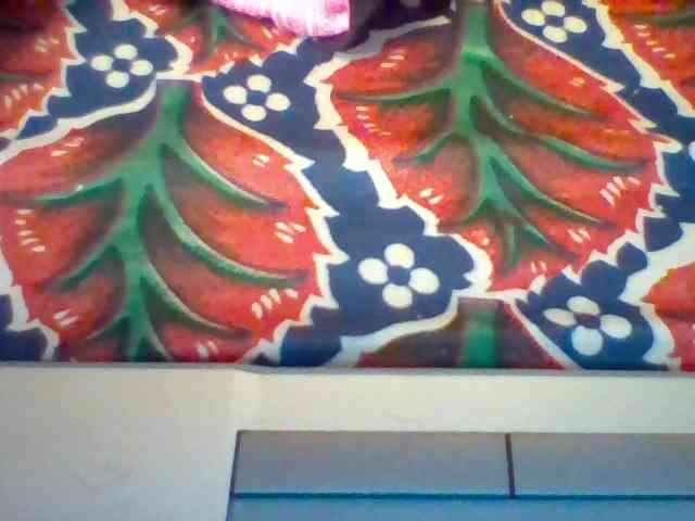 Violeti webcam