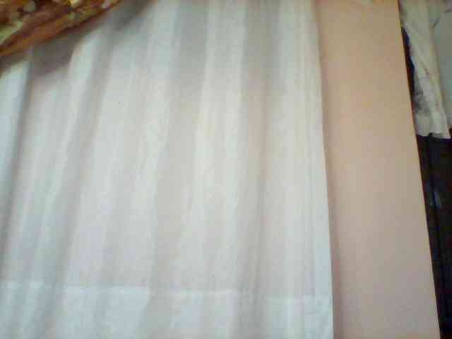 Violeti webcam