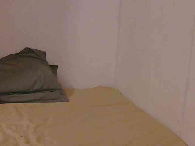 Ymae webcam