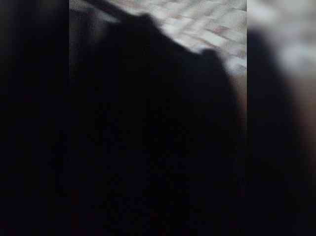 ivan_meow111