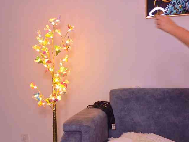 BellaVixen