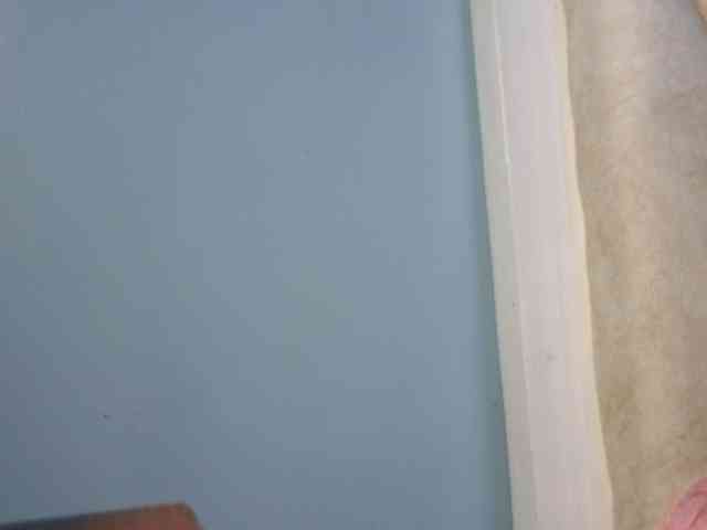 Pinkslut25 webcam