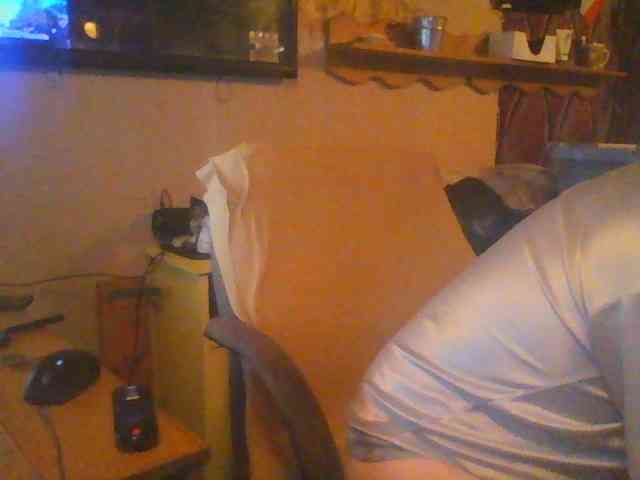 drews9in