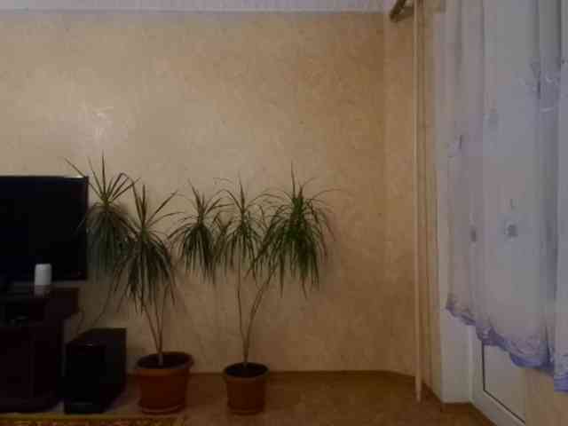 massiveman29500