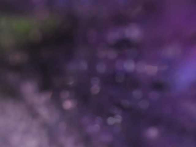 Fiorella-wish