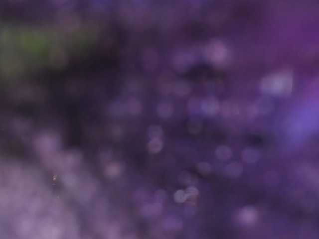 Fiorella-wish
