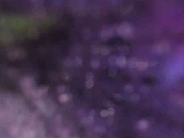 Fiorella-wish