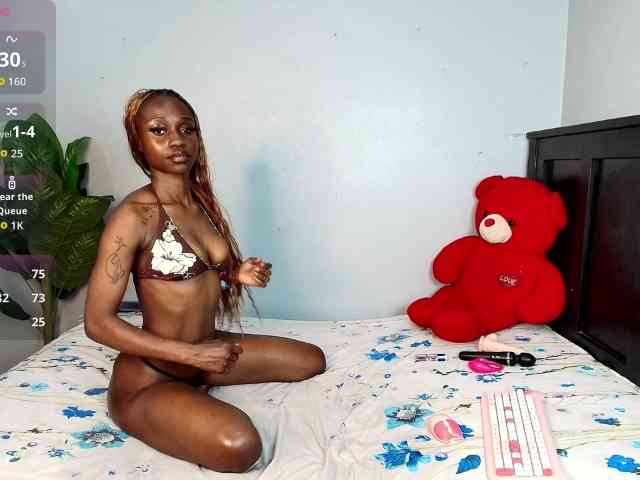 DarkCoco webcam