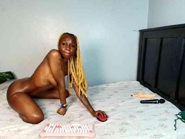 DarkCoco webcam