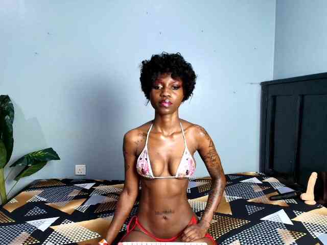 DarkCoco webcam