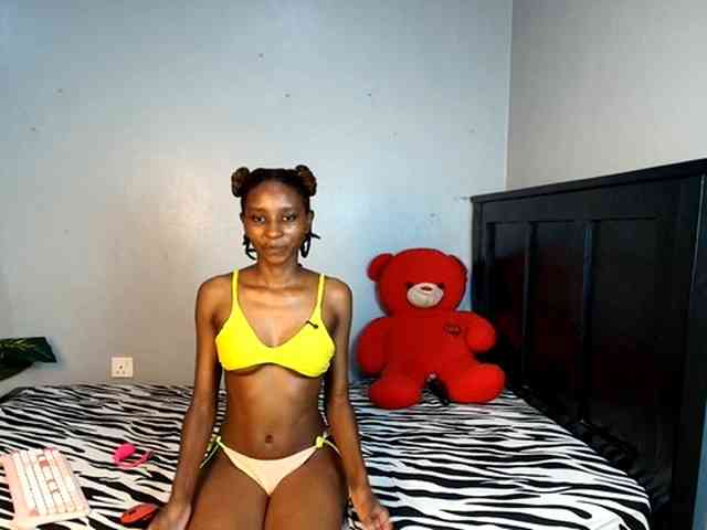 DarkCoco webcam