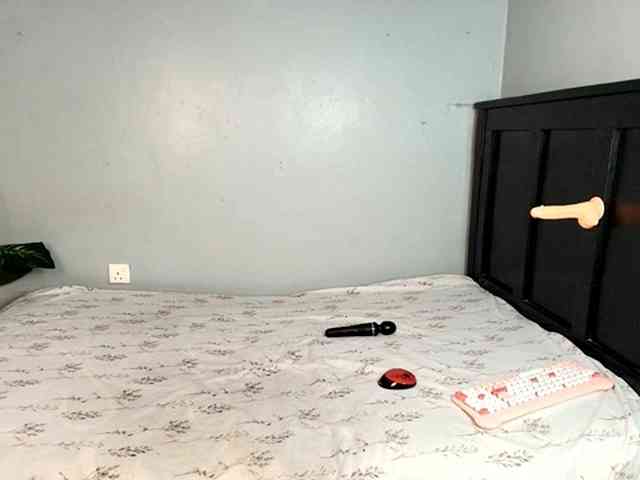 DarkCoco webcam